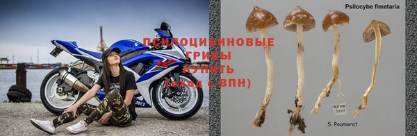 бошки Краснослободск