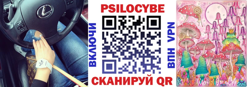 как найти наркотики  Лабинск  Псилоцибиновые грибы мицелий 